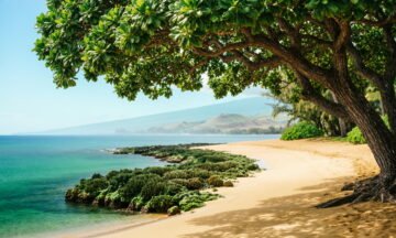 Plaża Anini na hawajskiej wyspie Kauai to zaciszna, długa oaza o złocistym piasku, osłonięta gigantyczną, turkusową rafą koralową. Woda w